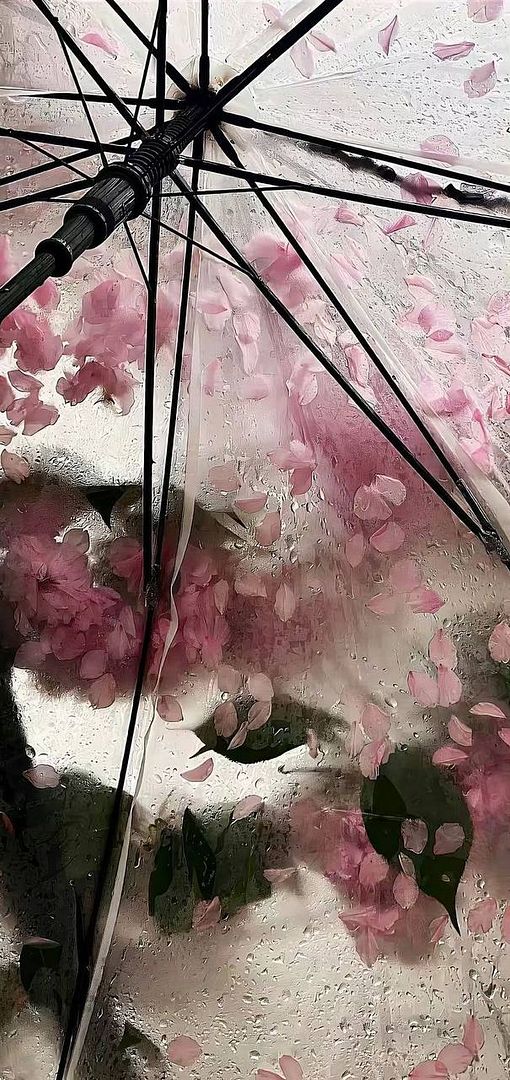 flower petals on an umbrella