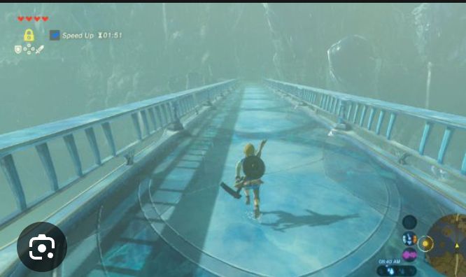 zora bridge