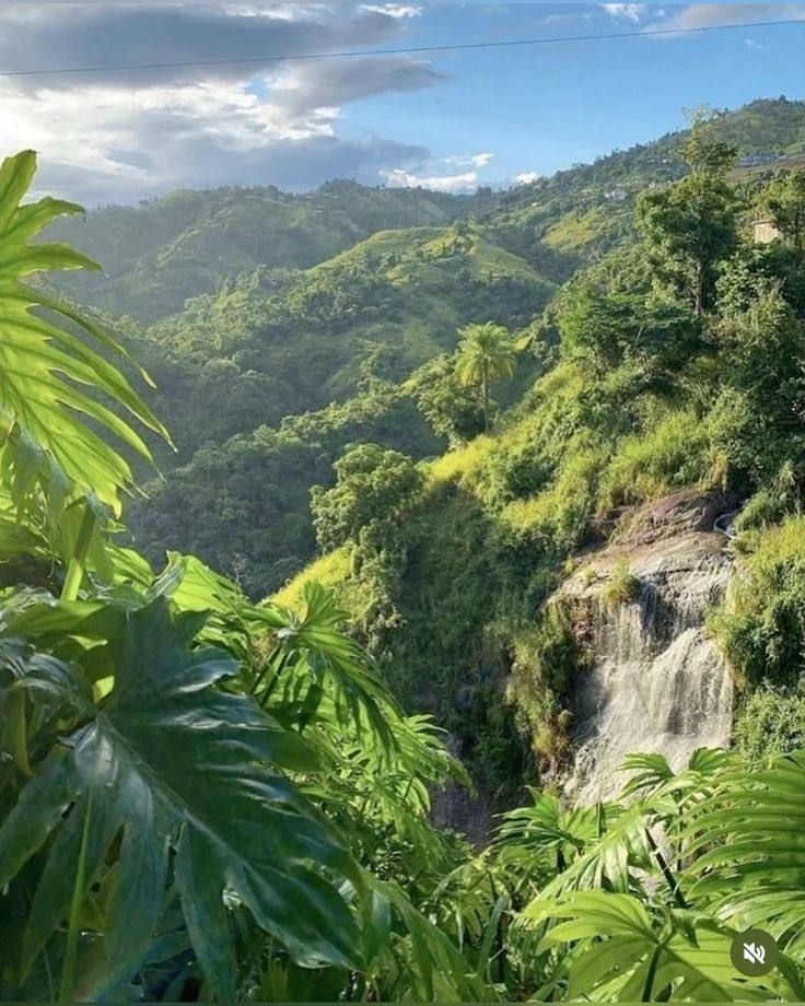 waterfall in the jungle