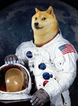 DOGE TO THE MOON