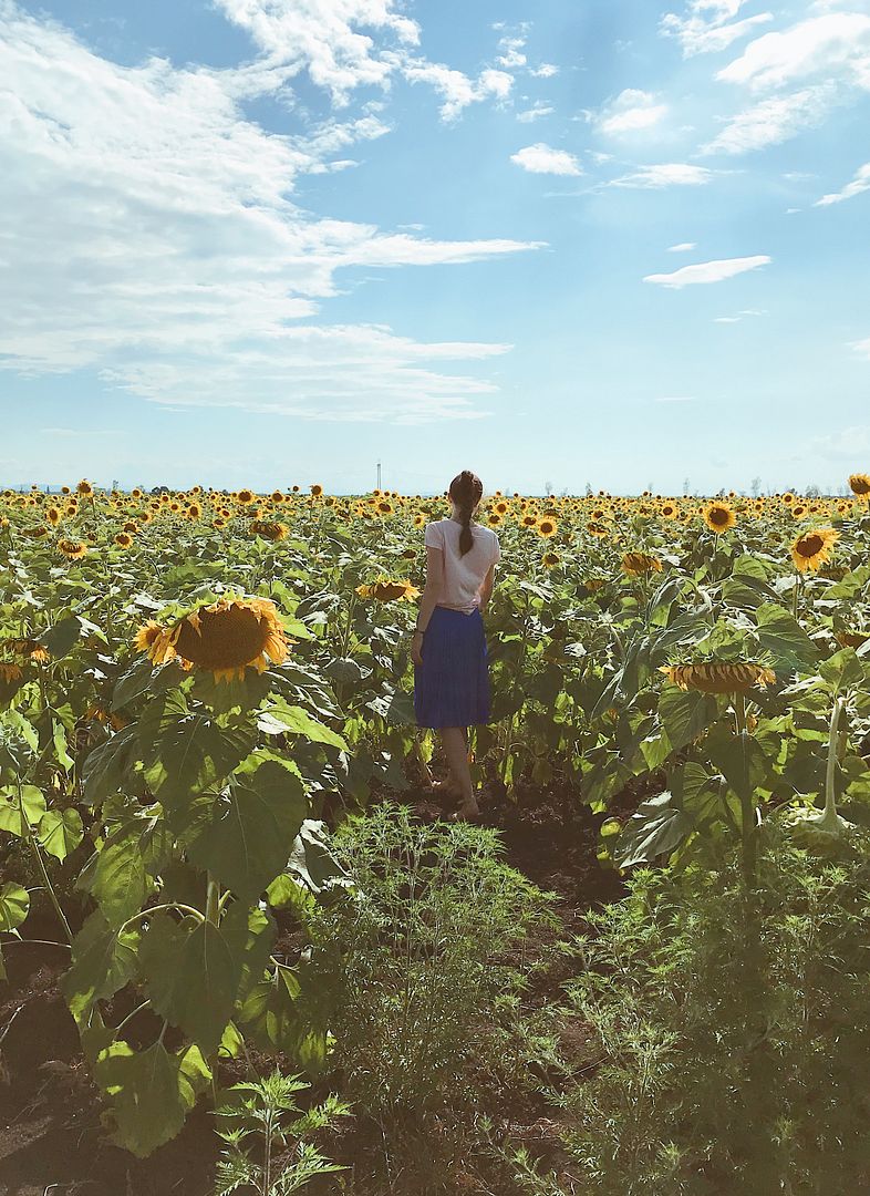 The girl and sunflowers