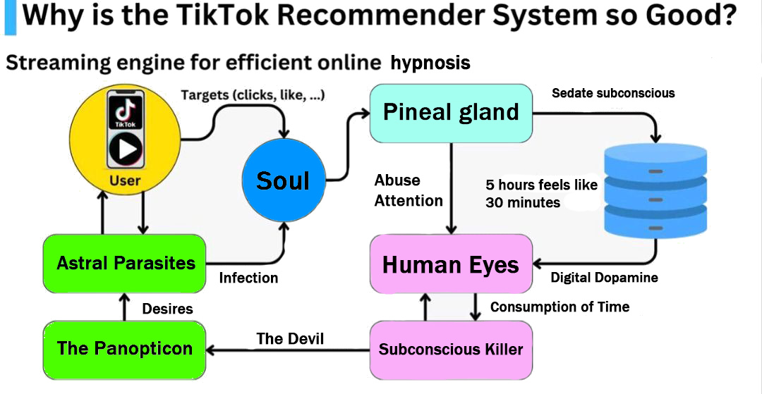 How the Tiktok Algorithm actually works