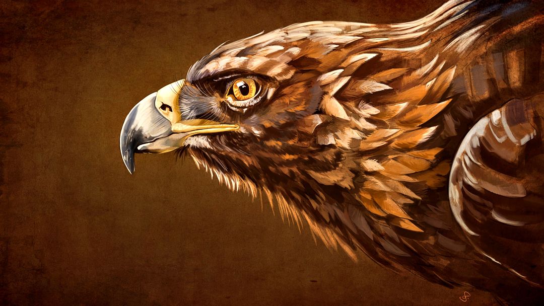 866550-Eagles-Painting-Art-Head-Beak