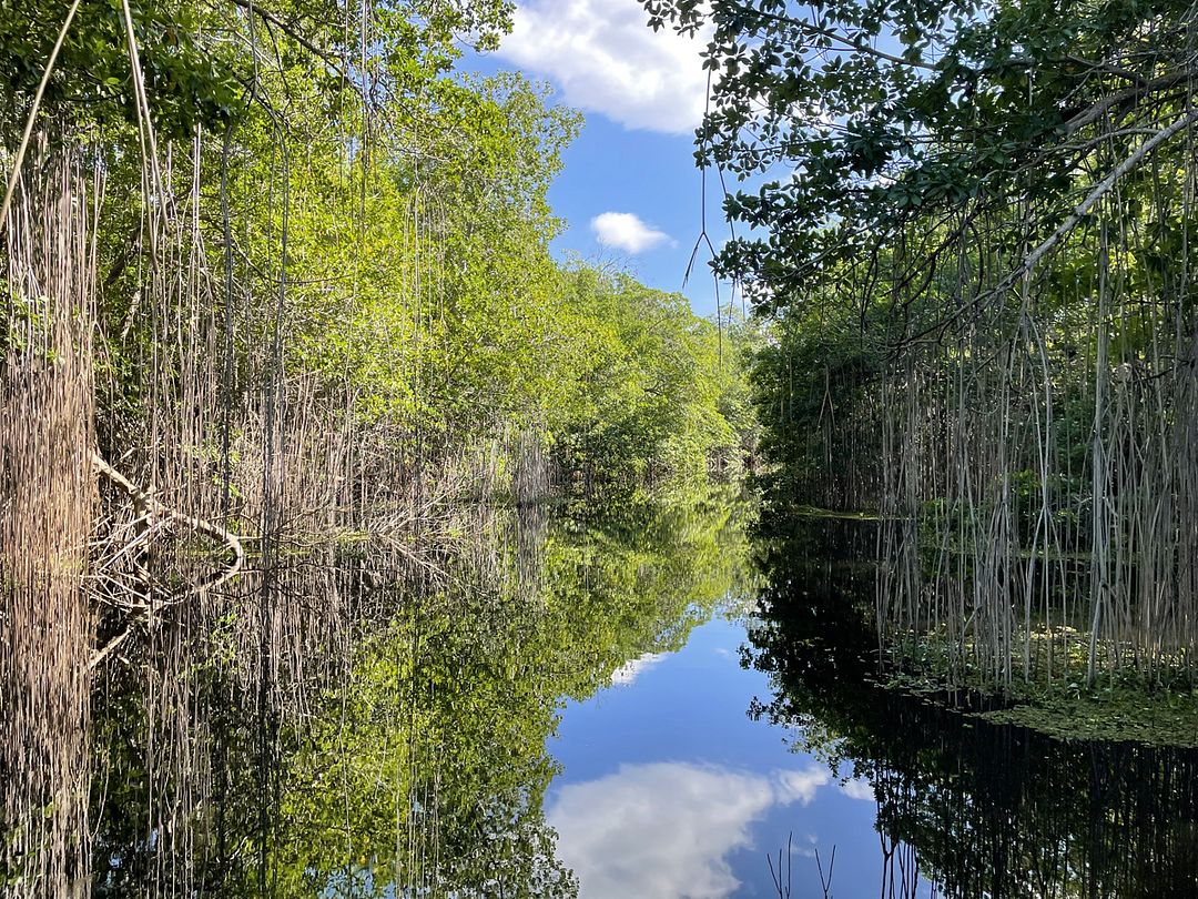 Black River SARDOMAFIA