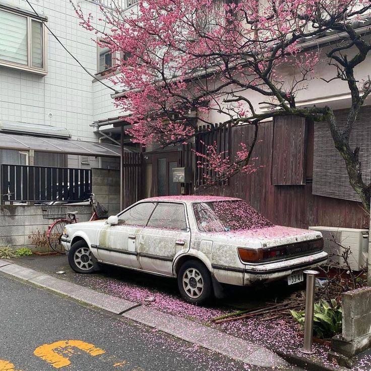 car in flowers