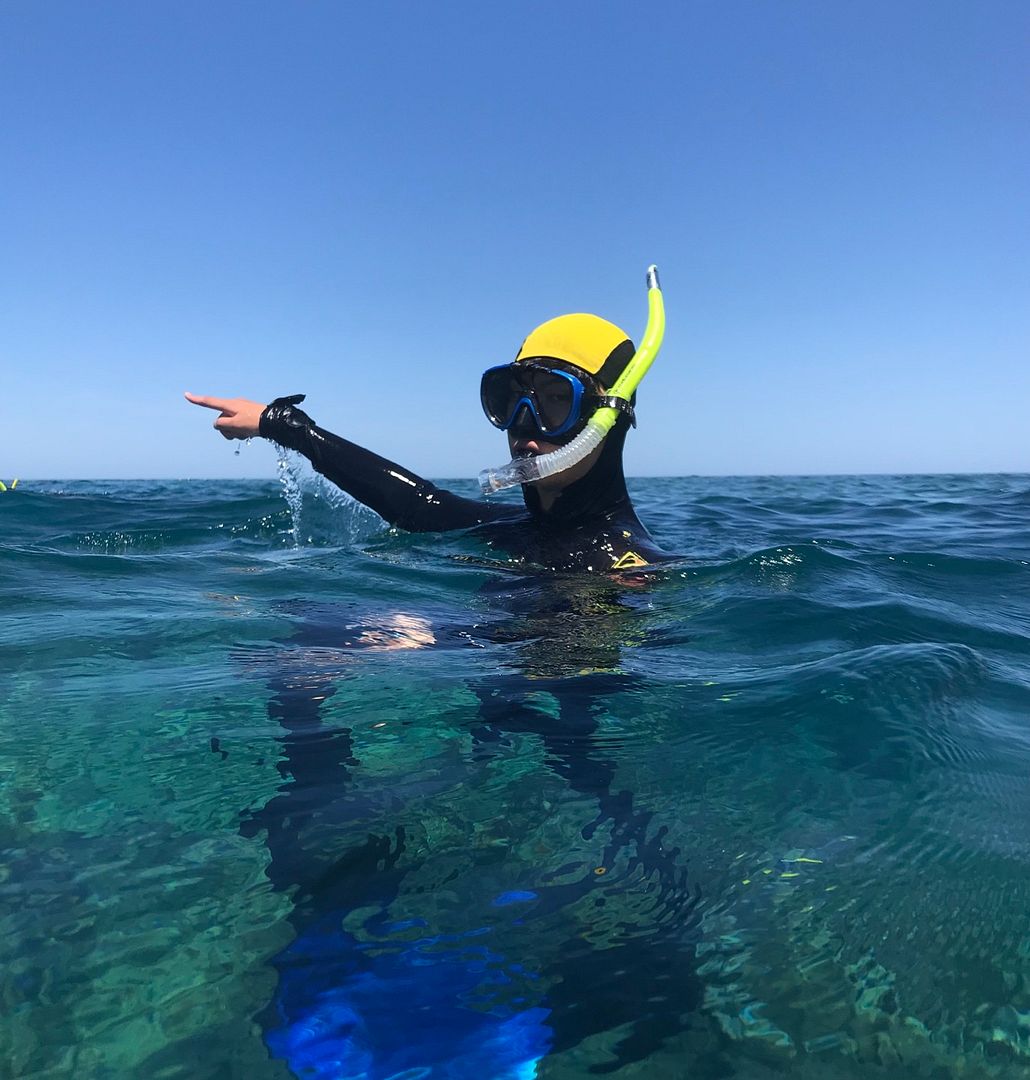 Great barrier reef