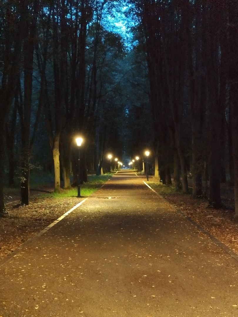 evening park lit by lanterns