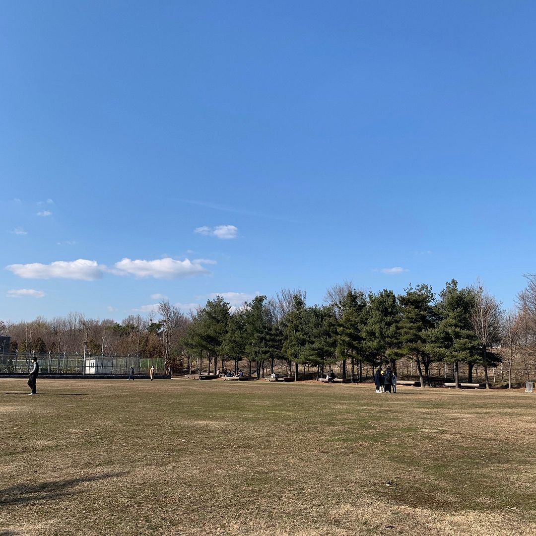 Seoul forest park