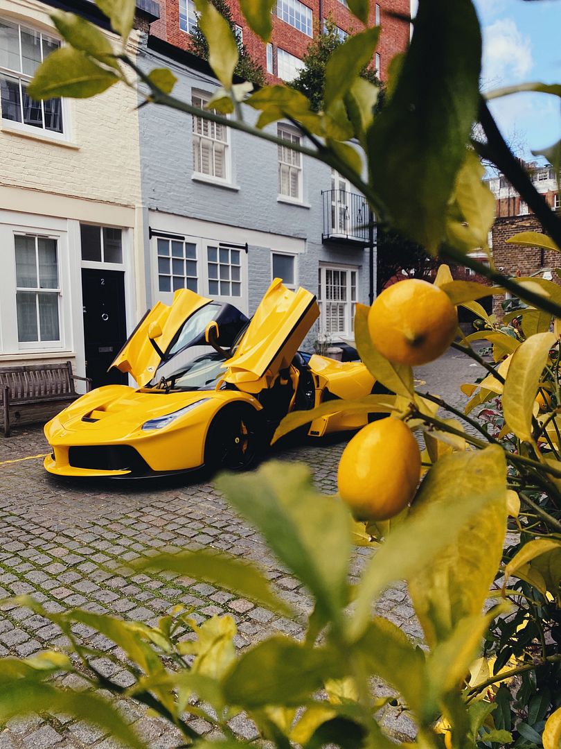 Life lemons Laf