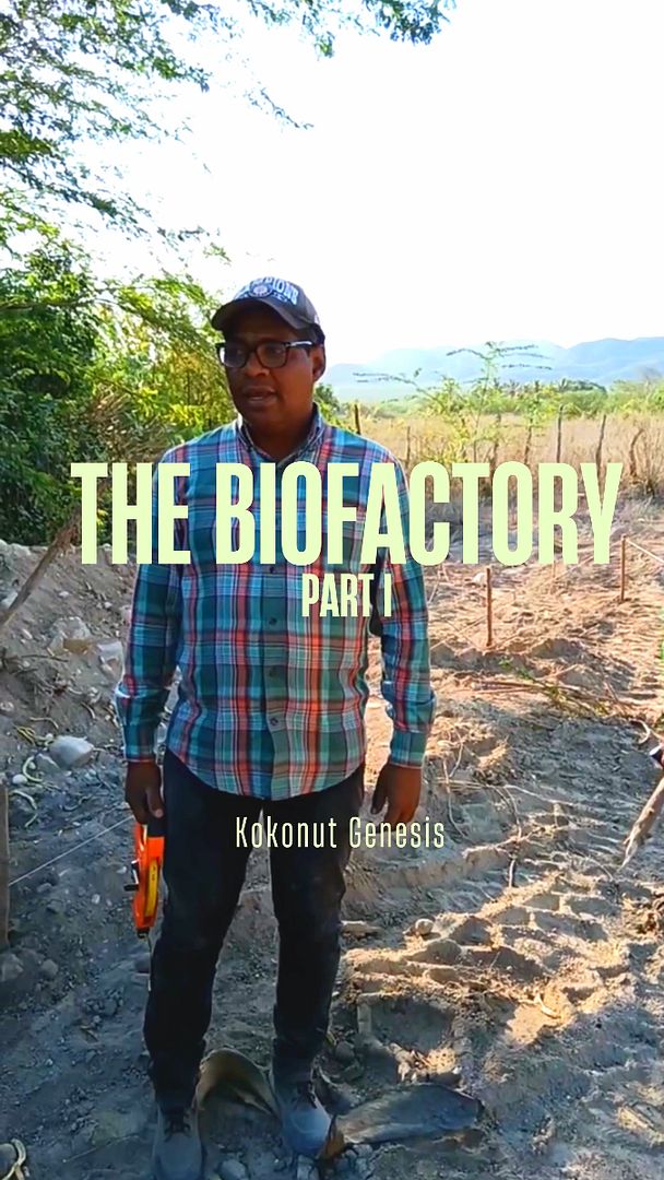 The Bio-Factory Part 1 🧬🏭