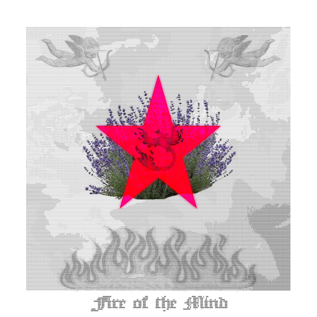 Fire of the Mind