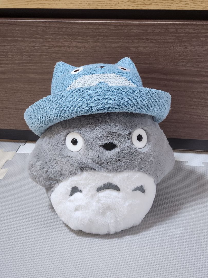 Totoro&totorohat