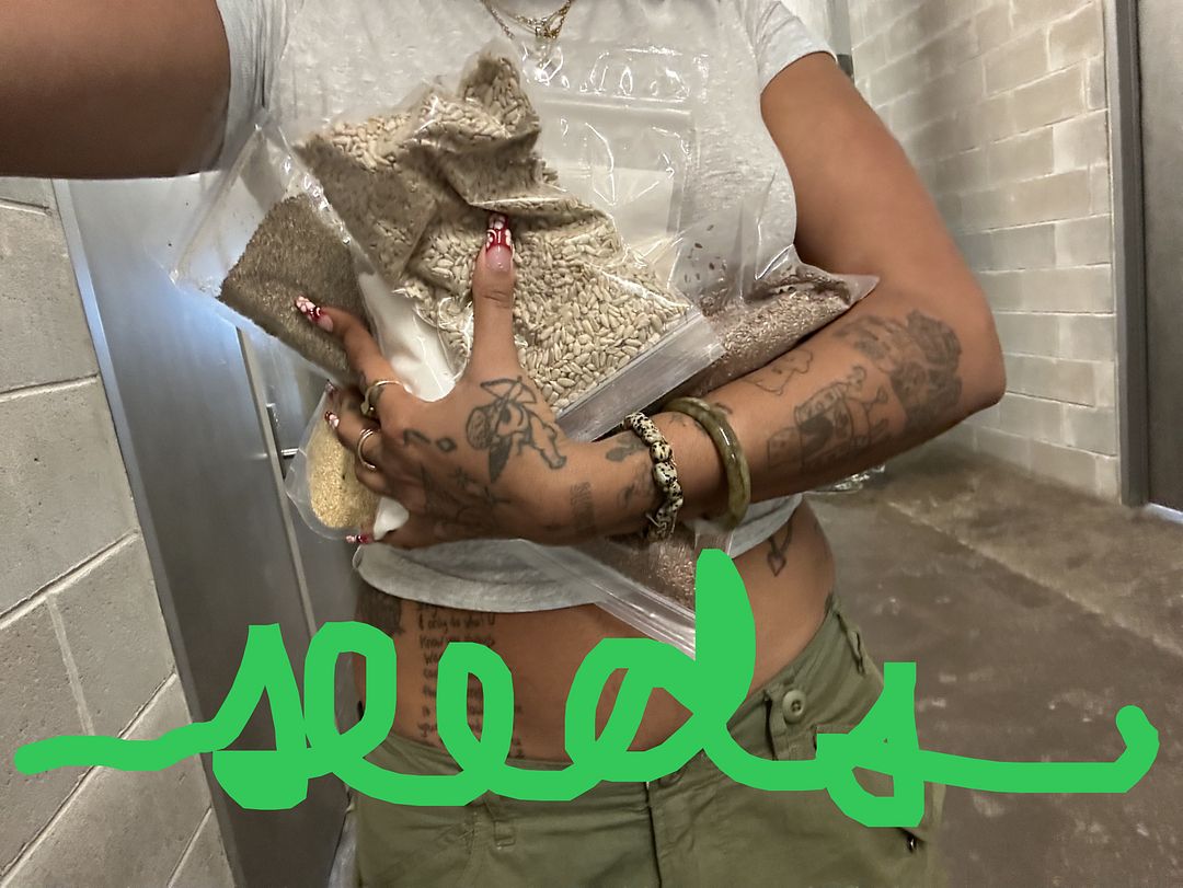 seeds