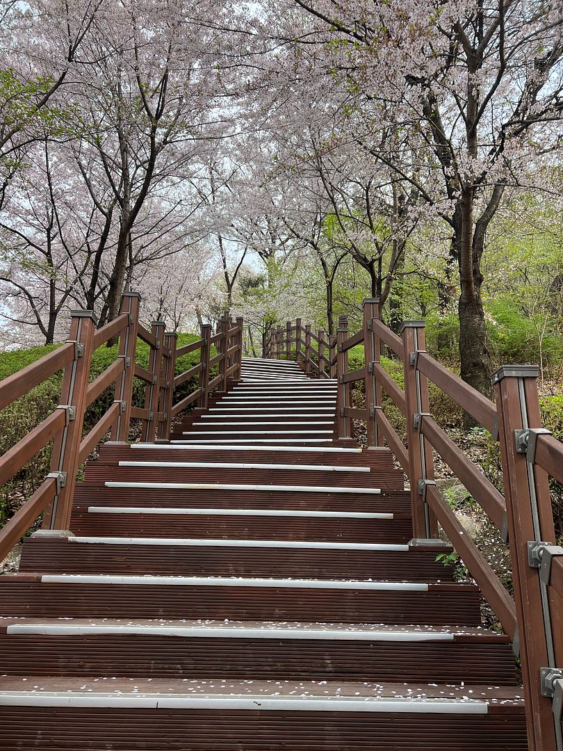 Flower Path and Stairs