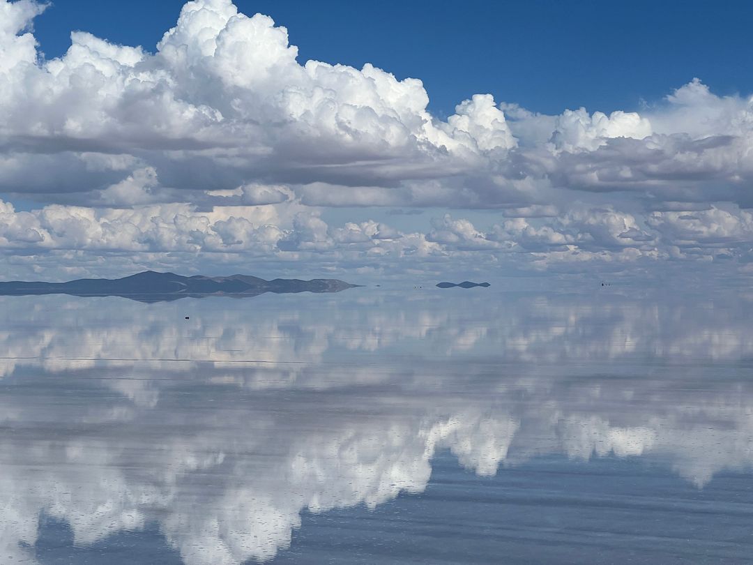 PERFECT_UYUNI