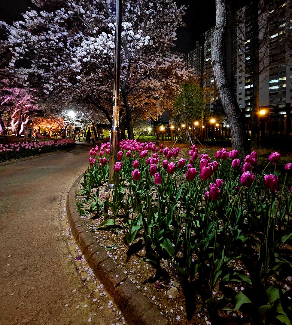 Flower Street