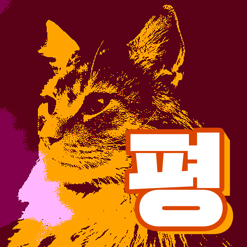 cat_pyung