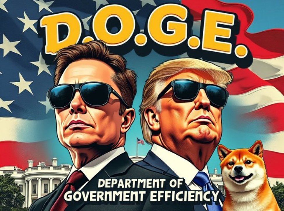 D.O.G.E