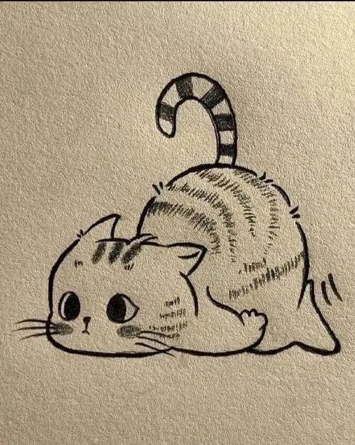 Cat drawing 🐈😺 6