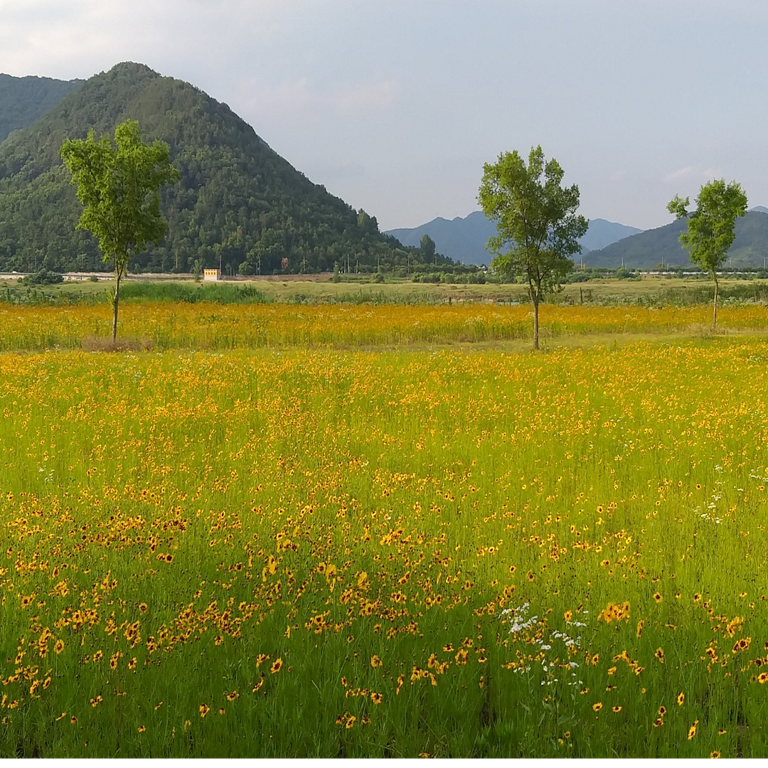 Nakdonggang River