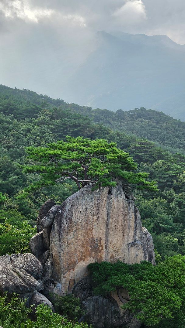 The wonderful view of Oesolbong Peak! (the peak of a lone pine tree)  240831  Jecheon, Chungcheongbuk-do, South Korea