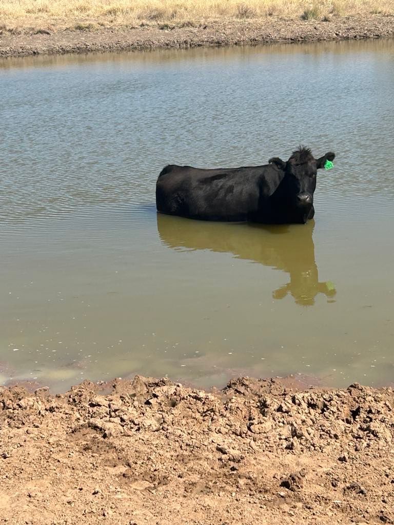 Having a drink