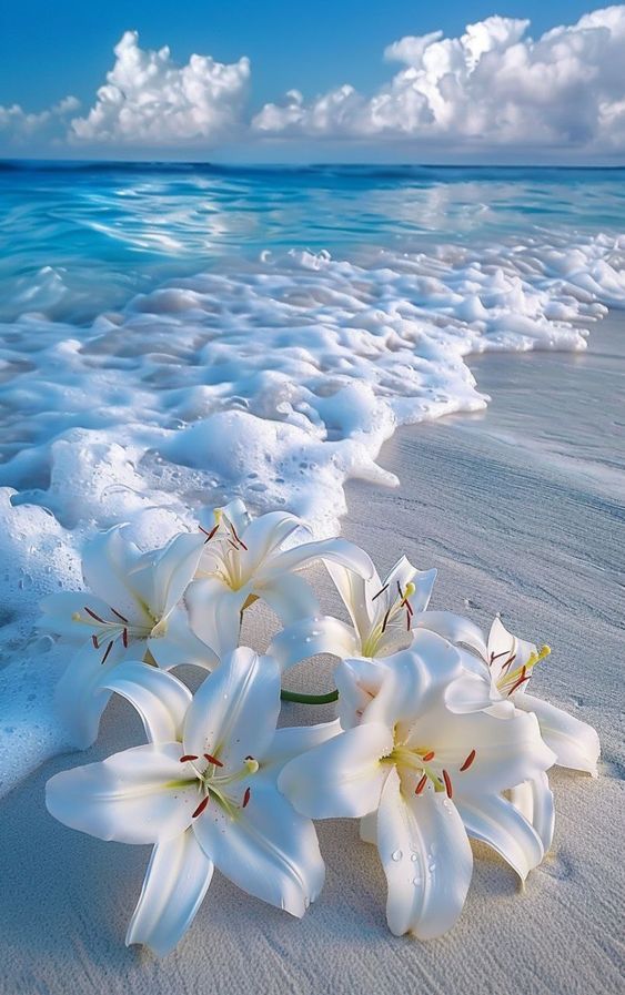 lilies on the beach