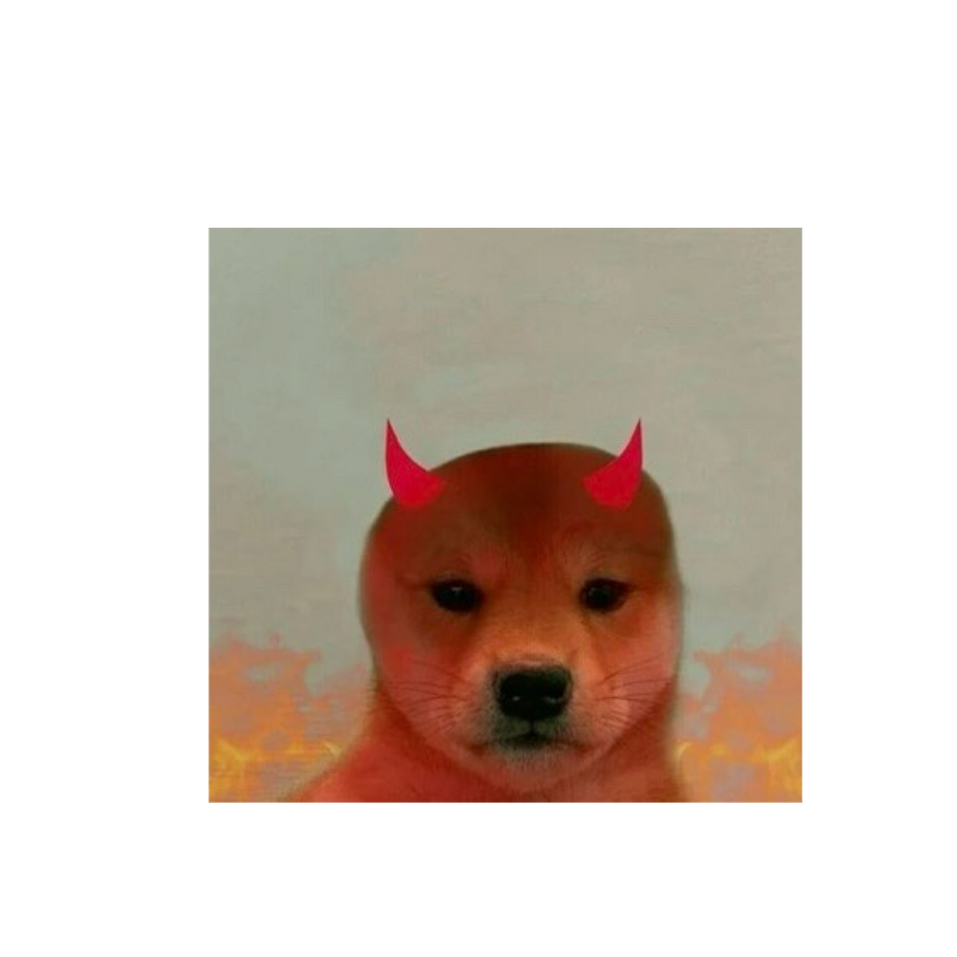 angry doge