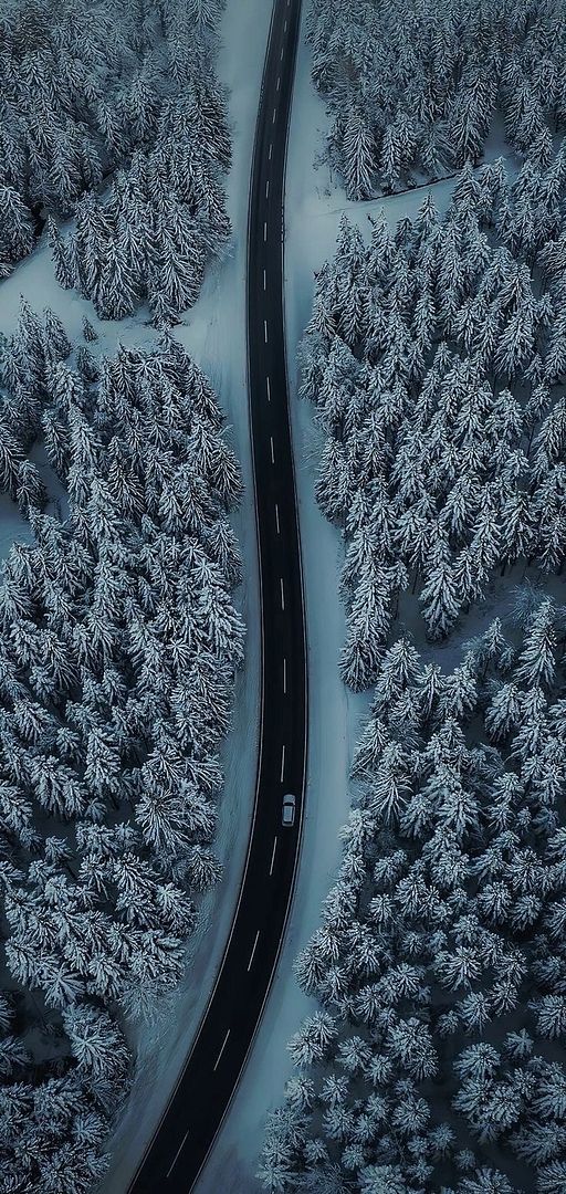 winter road