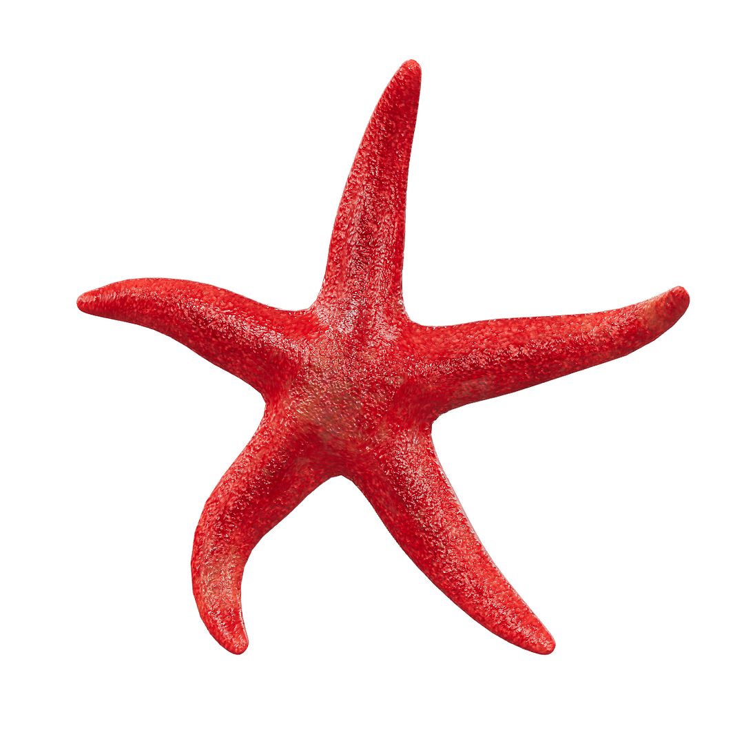 Coralverse Starfish