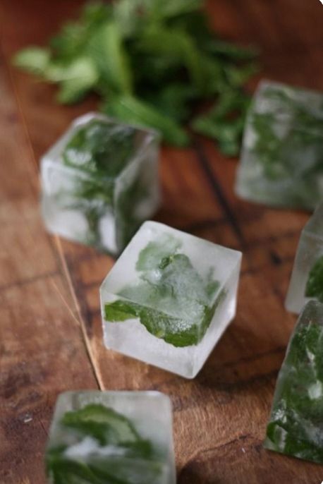 Mint Ice Cubes