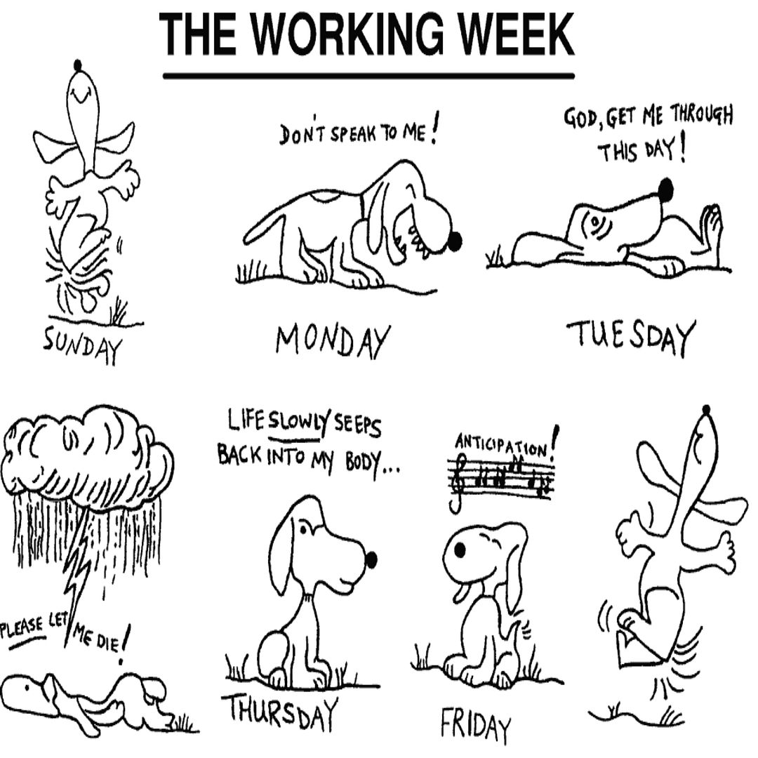 The Working Week