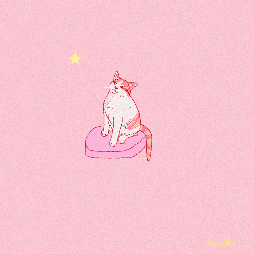 Tiny cat #2 . I’m forever grateful ✨