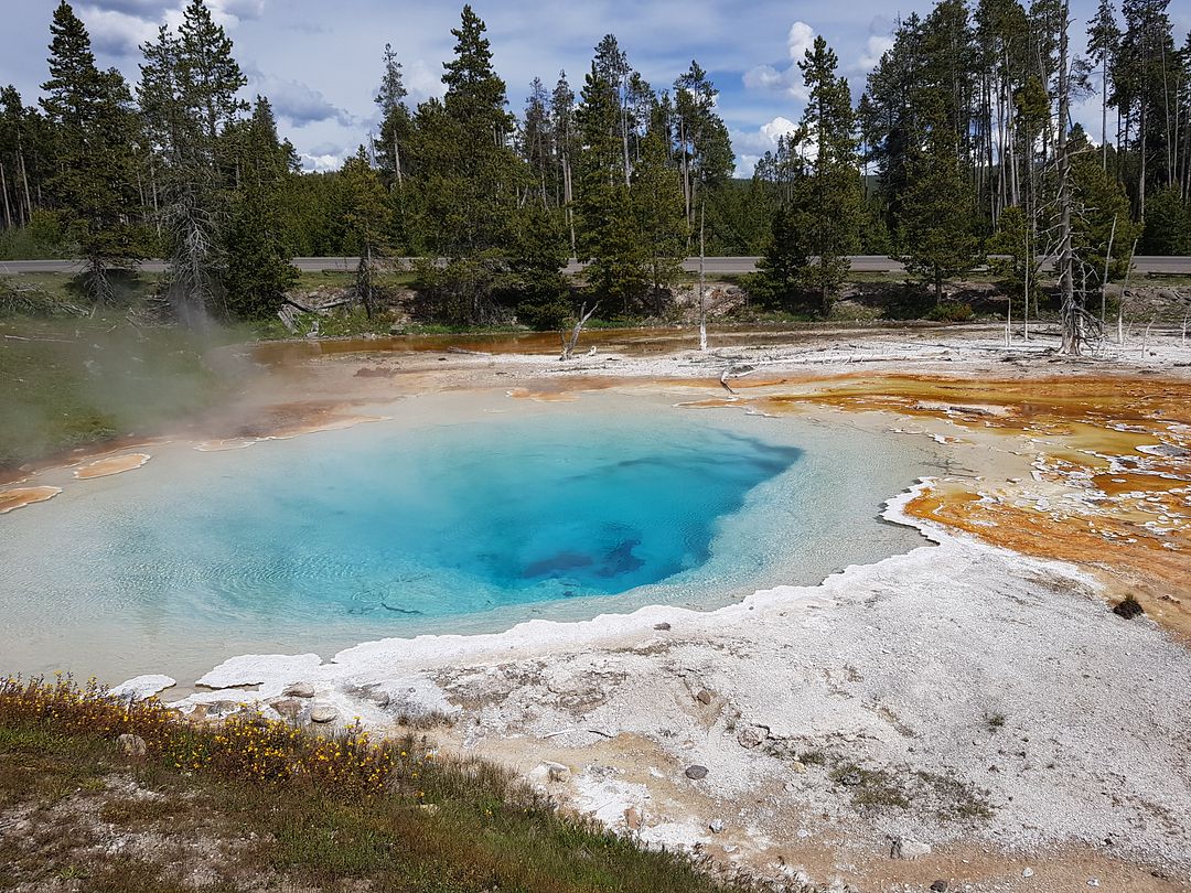 Yellow stone national park