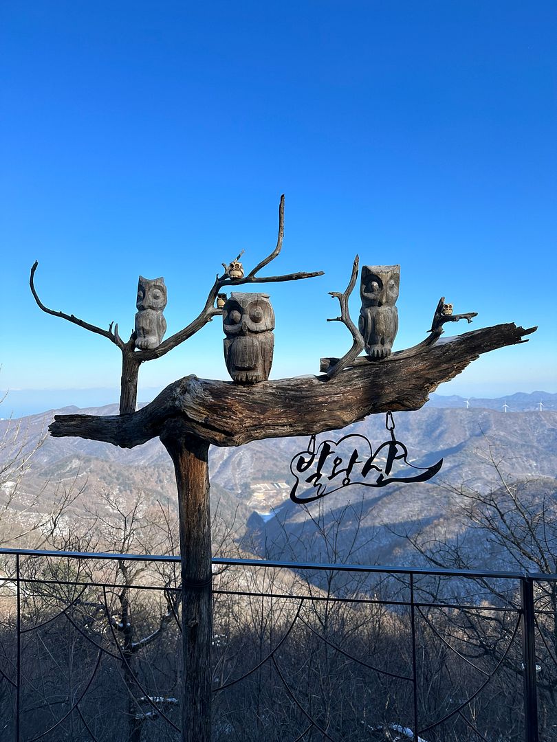 The owl in Balwang Mountain