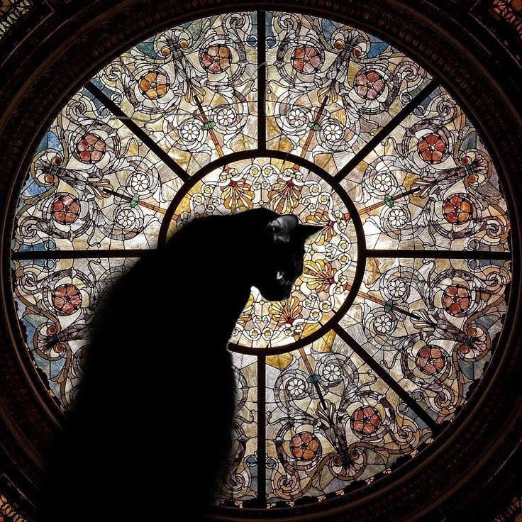 cat and stained glass