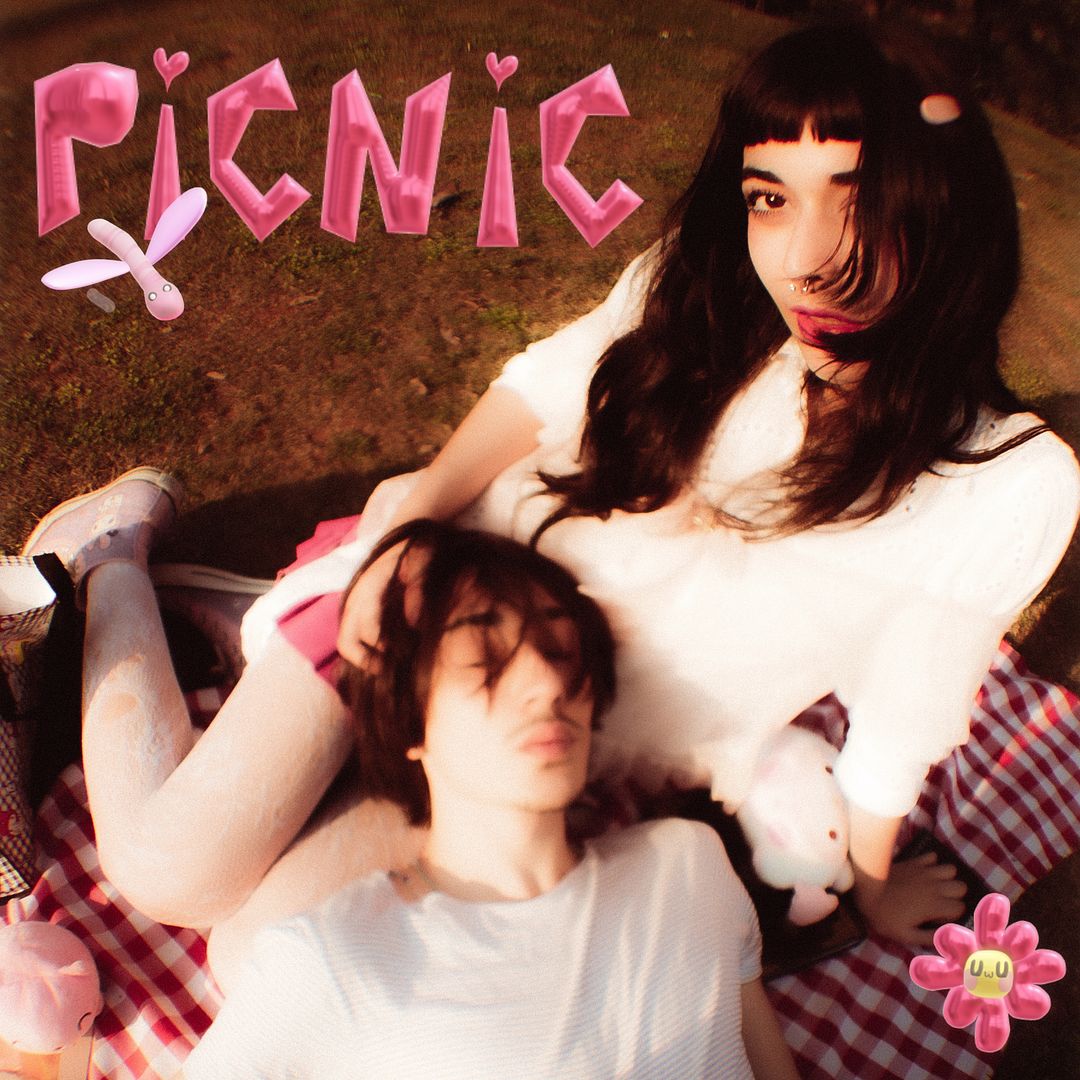 picnic coverart