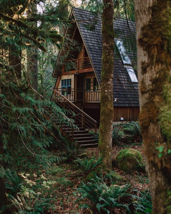 Huts in the middle of the forest