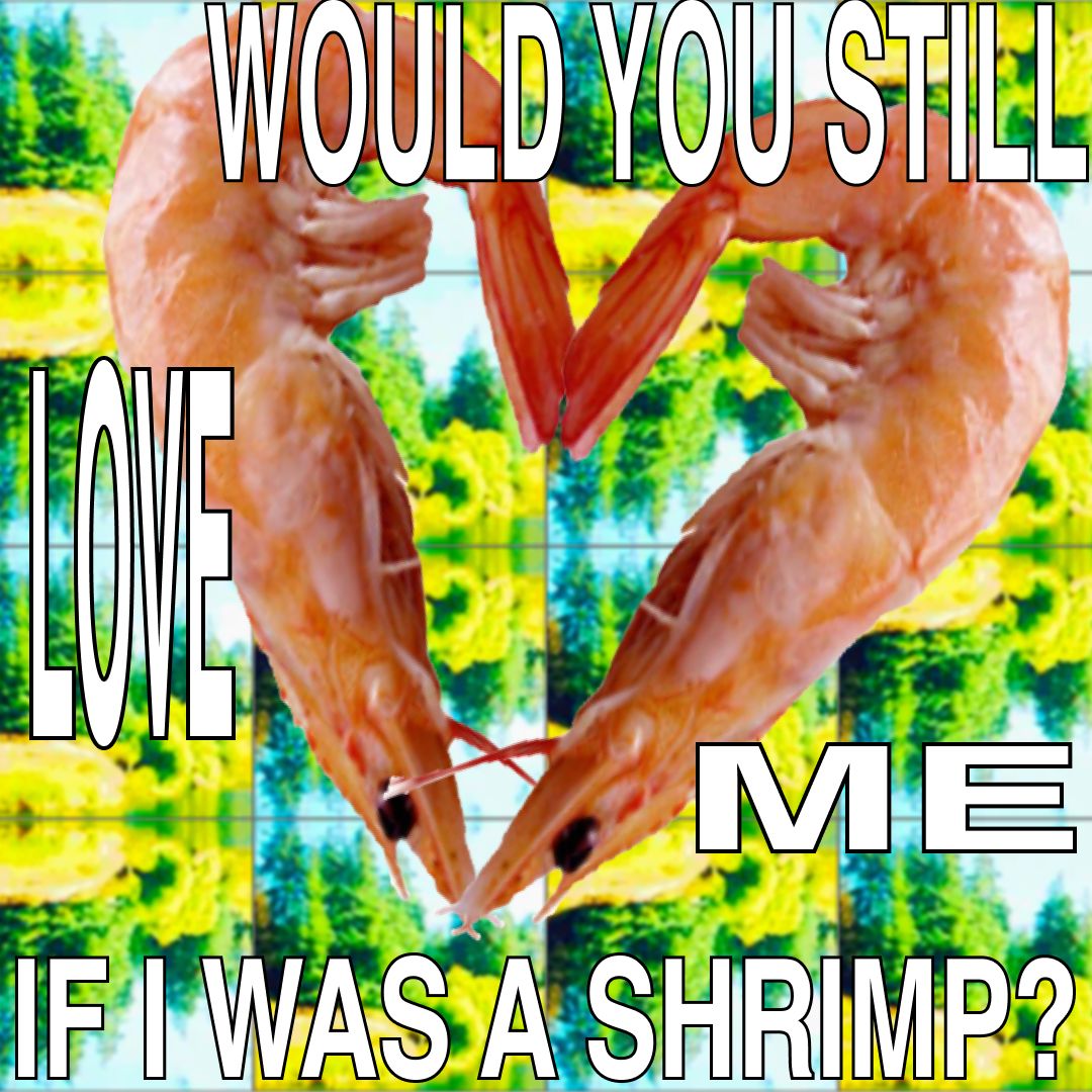 would you still love me if I was a shrimp