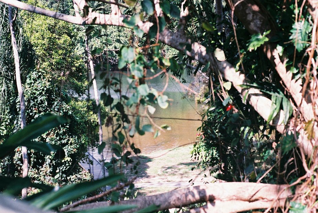 Barron River in Cairns, Australia