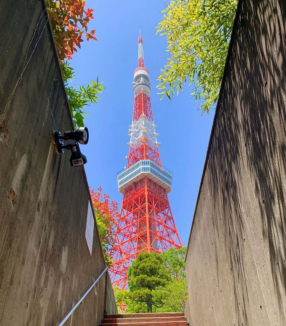 Travel ❤️ Tokyo 🌟 Memories ❤️