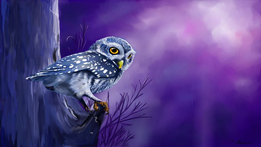 natasha-weedman-owl-on-branch-wip8