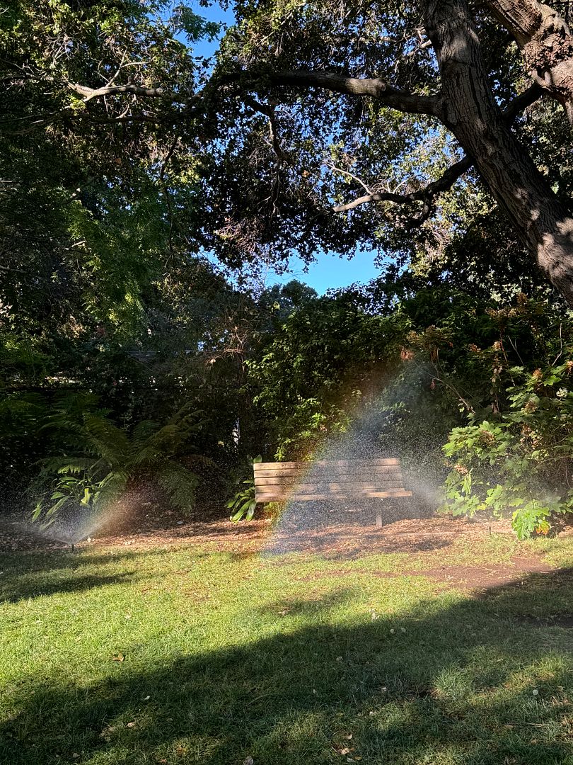 mini double rainbow