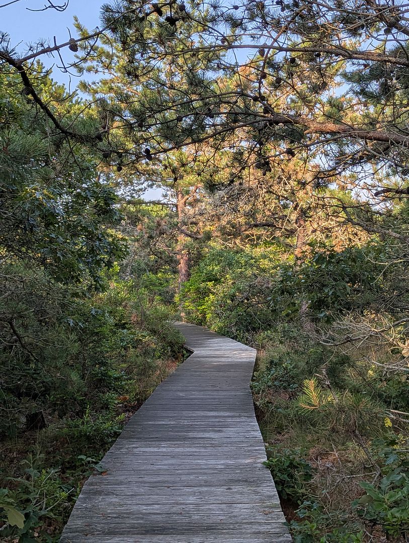 Find Your Path