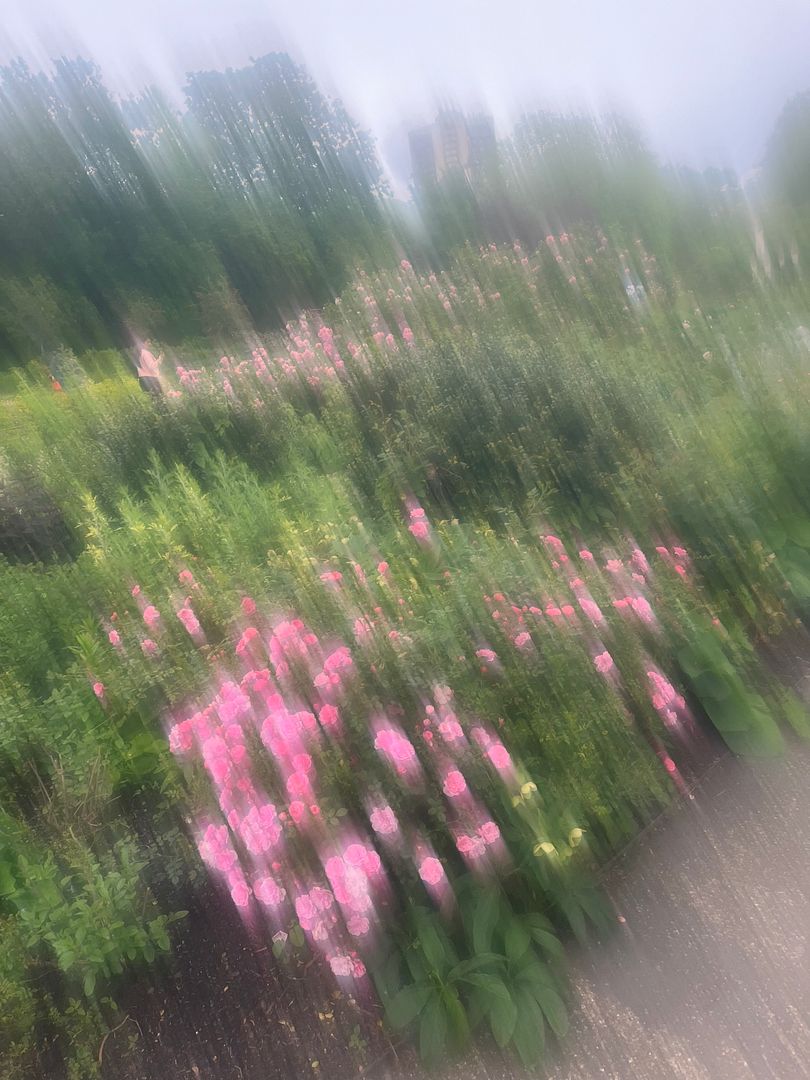 Blurry world