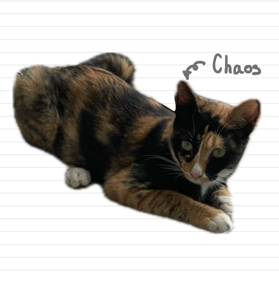 Cat_Chaos_23