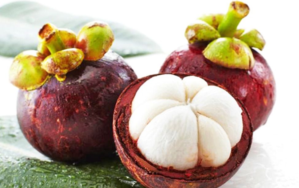 mangosteen