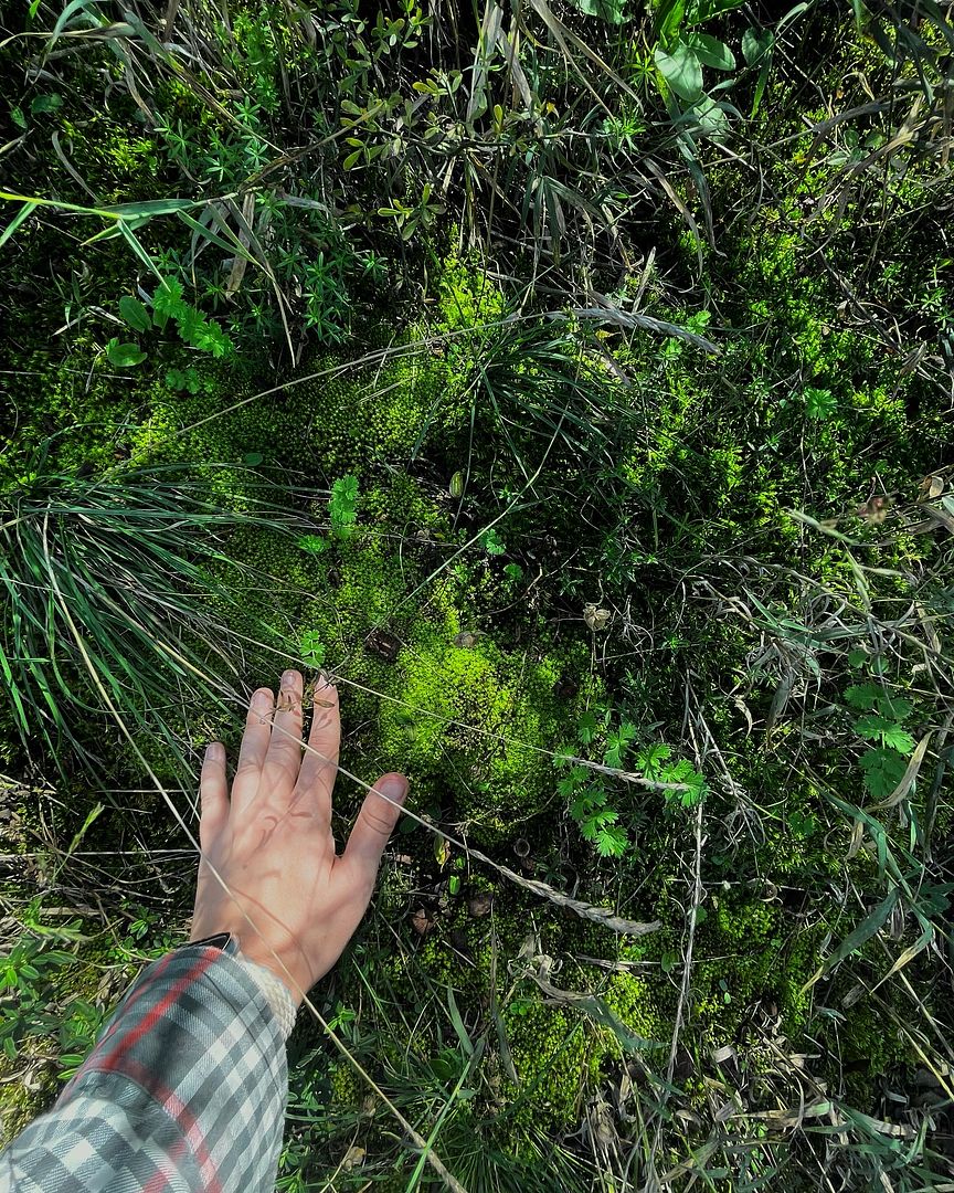 touching the grass on daily basis