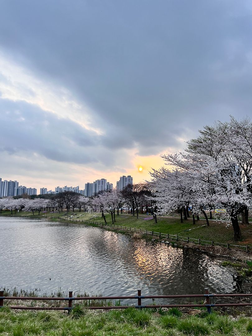 spring, korea