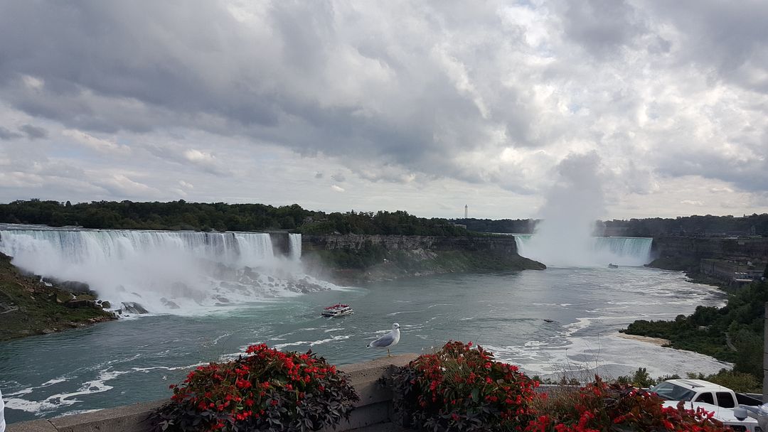 enjoy in the niagara